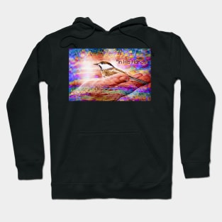 "In His Hands" Hoodie